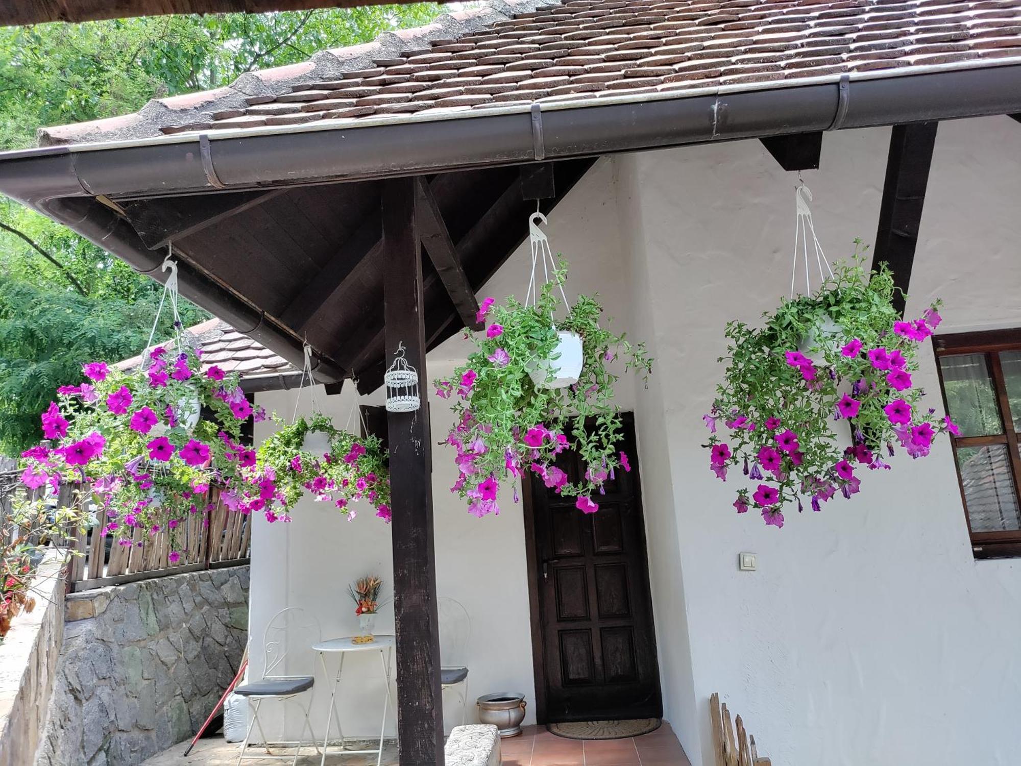 Konak Lecic Trsic Exterior foto