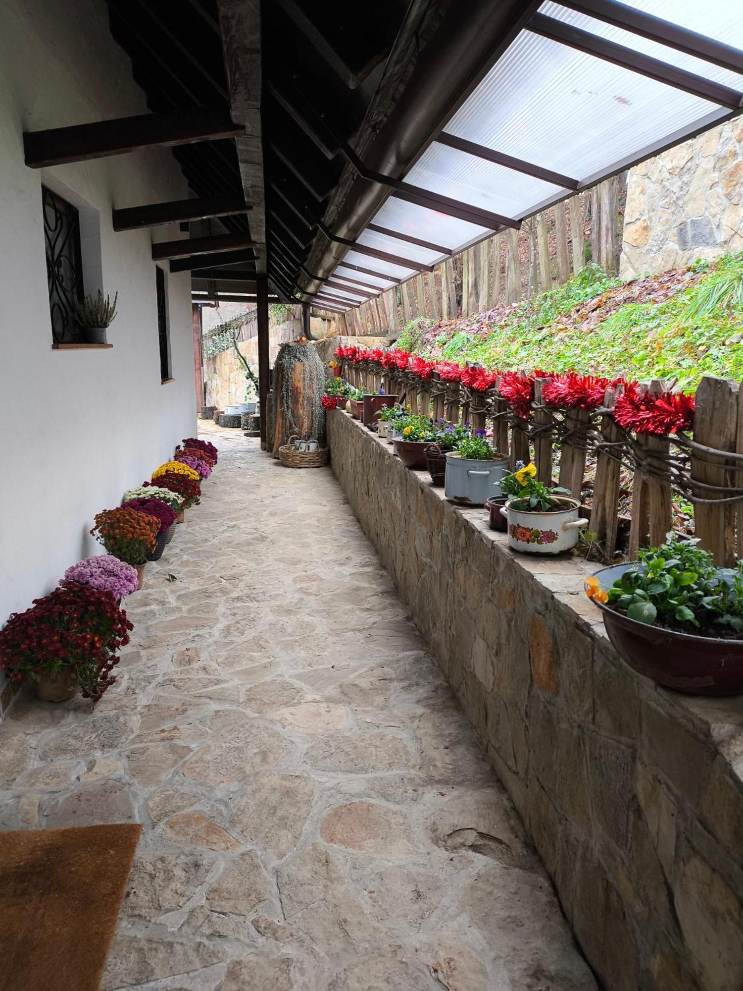 Konak Lecic Trsic Exterior foto